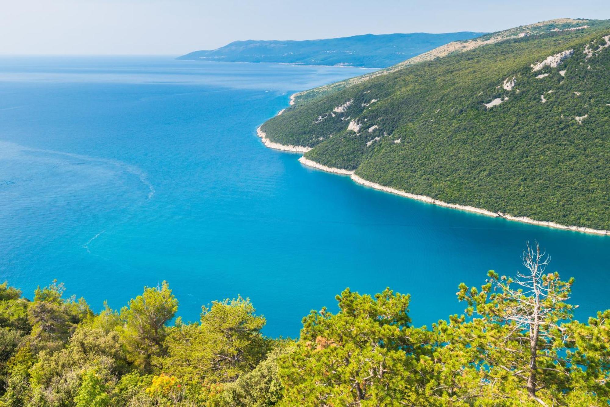 Seafront Villa Andrijana - Happy Rentals Plomin Exterior foto